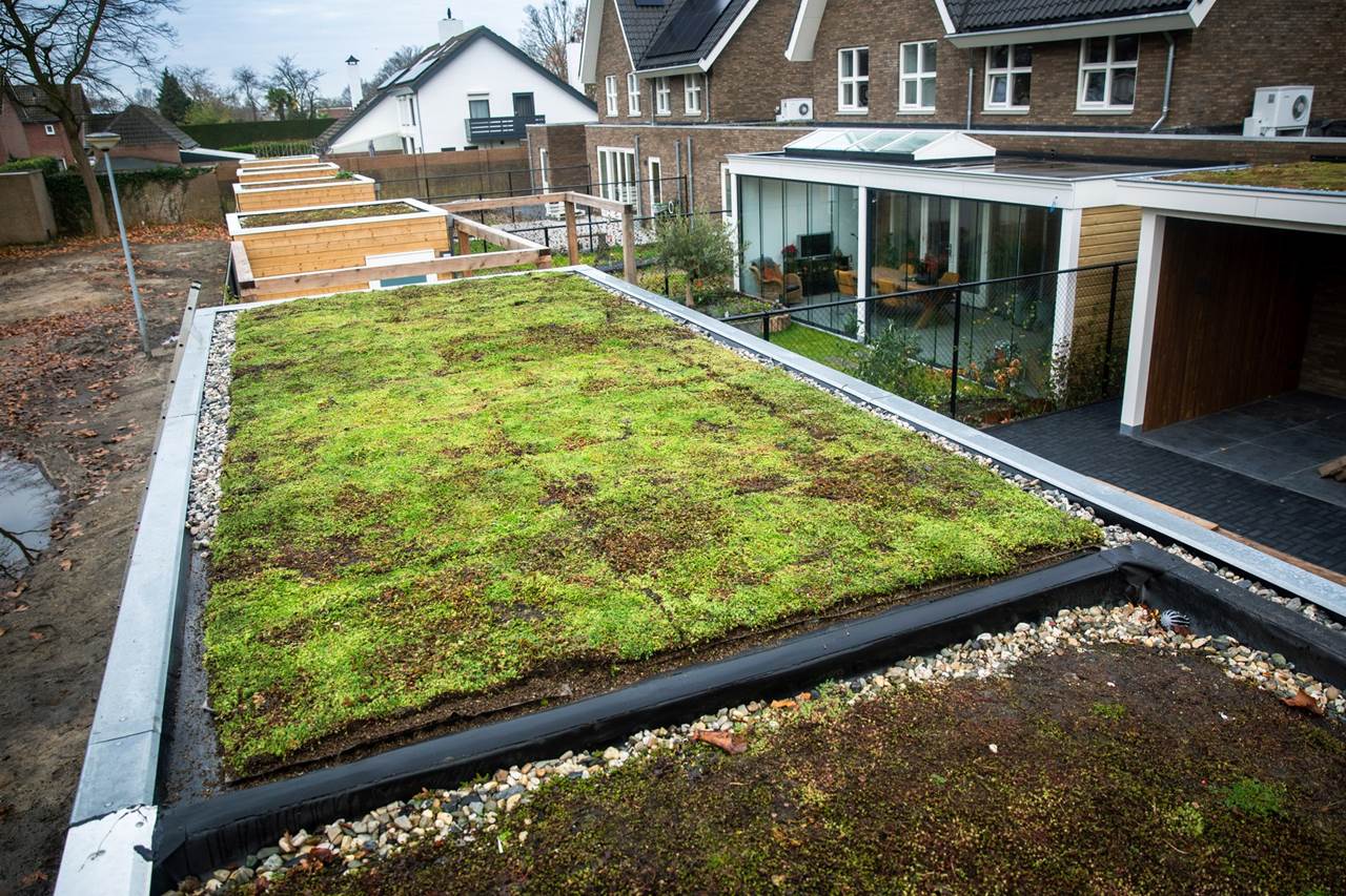 Groen dak Pijnacker